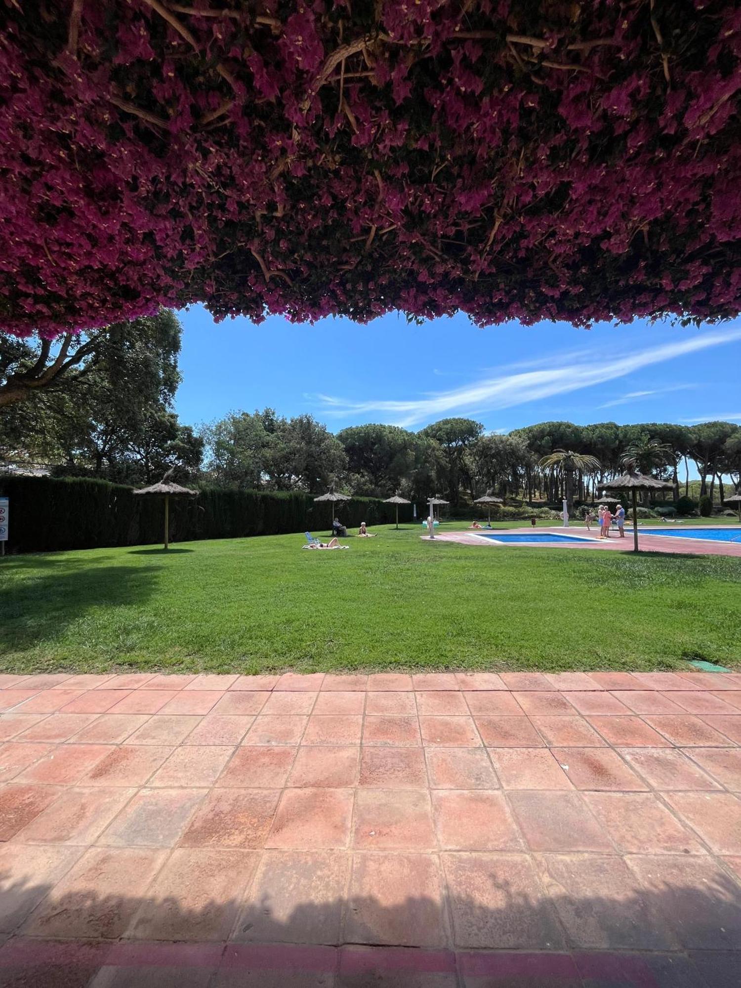 Calella De Palafrugell - Piso Reformado Con Piscina, Wifi Y Parking Gratuito Apartment Exterior photo